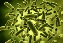 益生菌 Probiotic – 增強免疫 Immune,濕疹 Eczema,牛皮癬Psoriasis 念珠菌 Candida