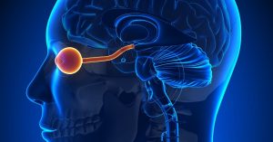 NMN- 煙酰胺腺嘌呤二核苷酸 (NAD+) 對青光眼和年齡相關性黃斑變性 Glaucoma and age-related macular degeneration (AMD)